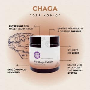 Super Wirktstoffe Chaga Vitalpilz