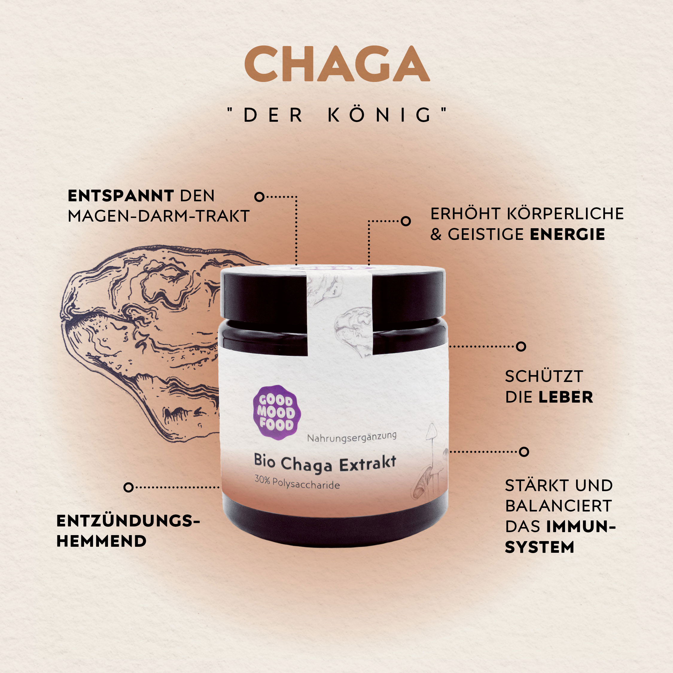 Super Wirktstoffe Chaga Vitalpilz