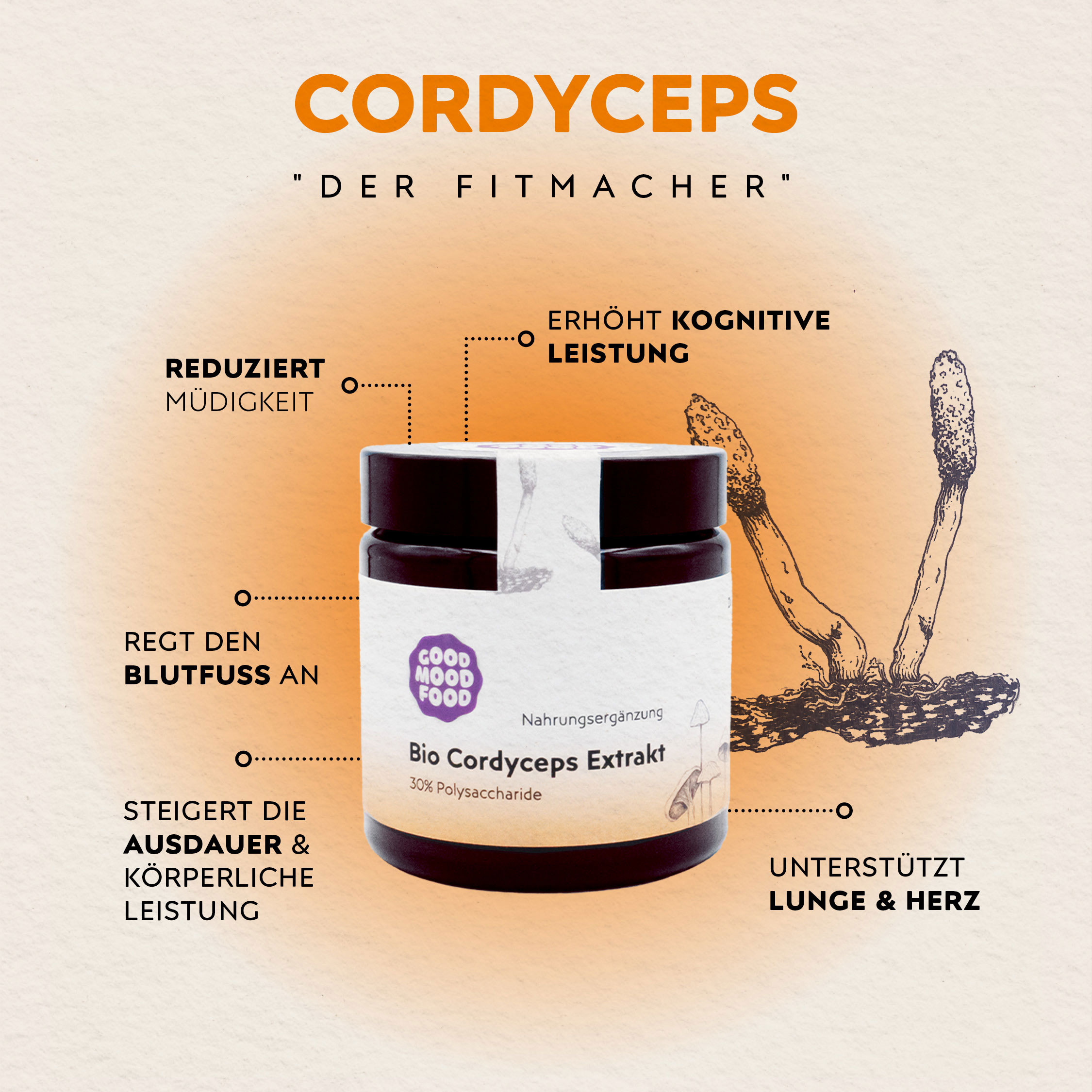 Super Wirkstoffe Cordycepts Vitalpilz