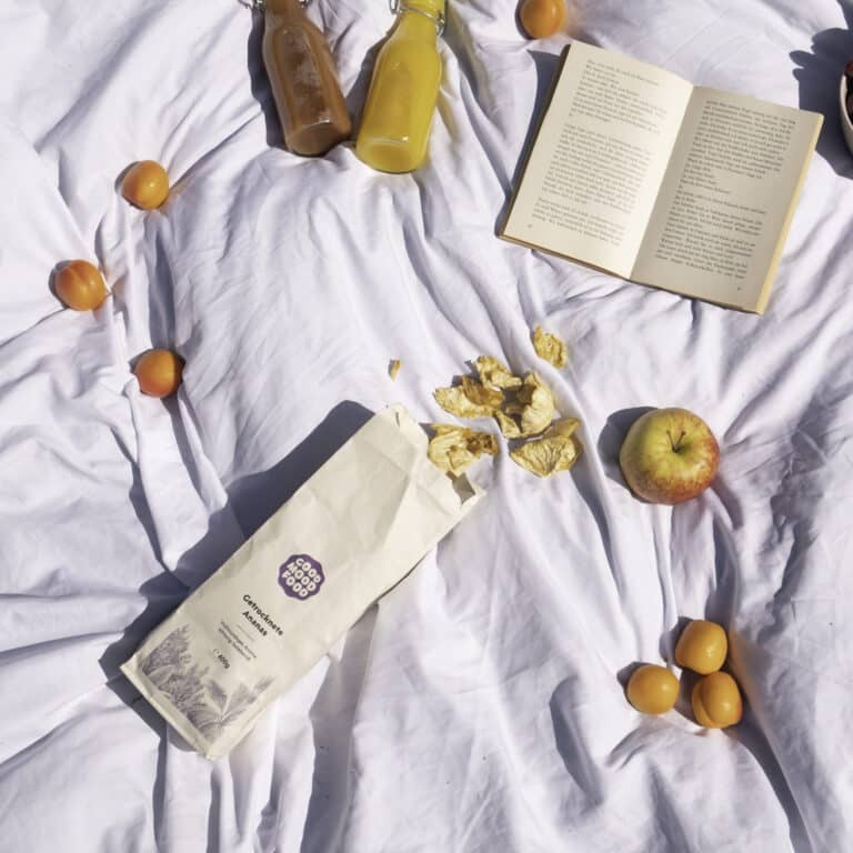 Moodbild getrocknete Ananas neu