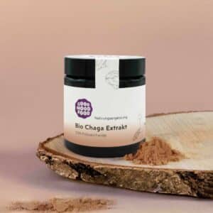Vitalpilz Extrakt Chaga