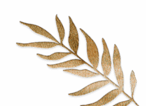 Kupferstich Palme Gold