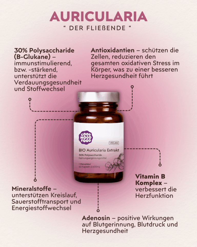 Auricularia Vitalpilz Infografik