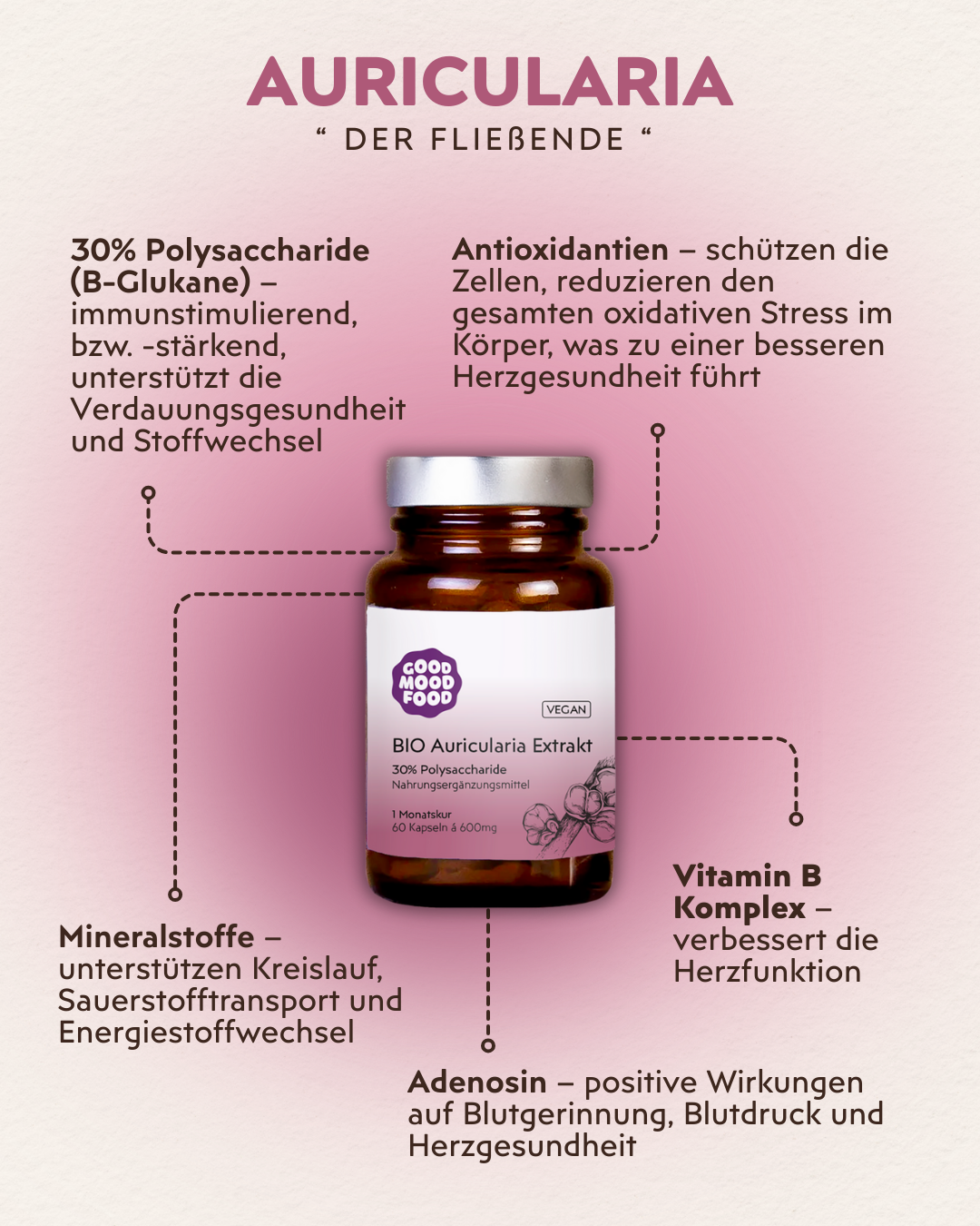 Auricularia Infografik