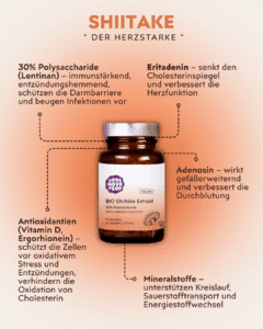 Shiitake Vitalpilz Infografik