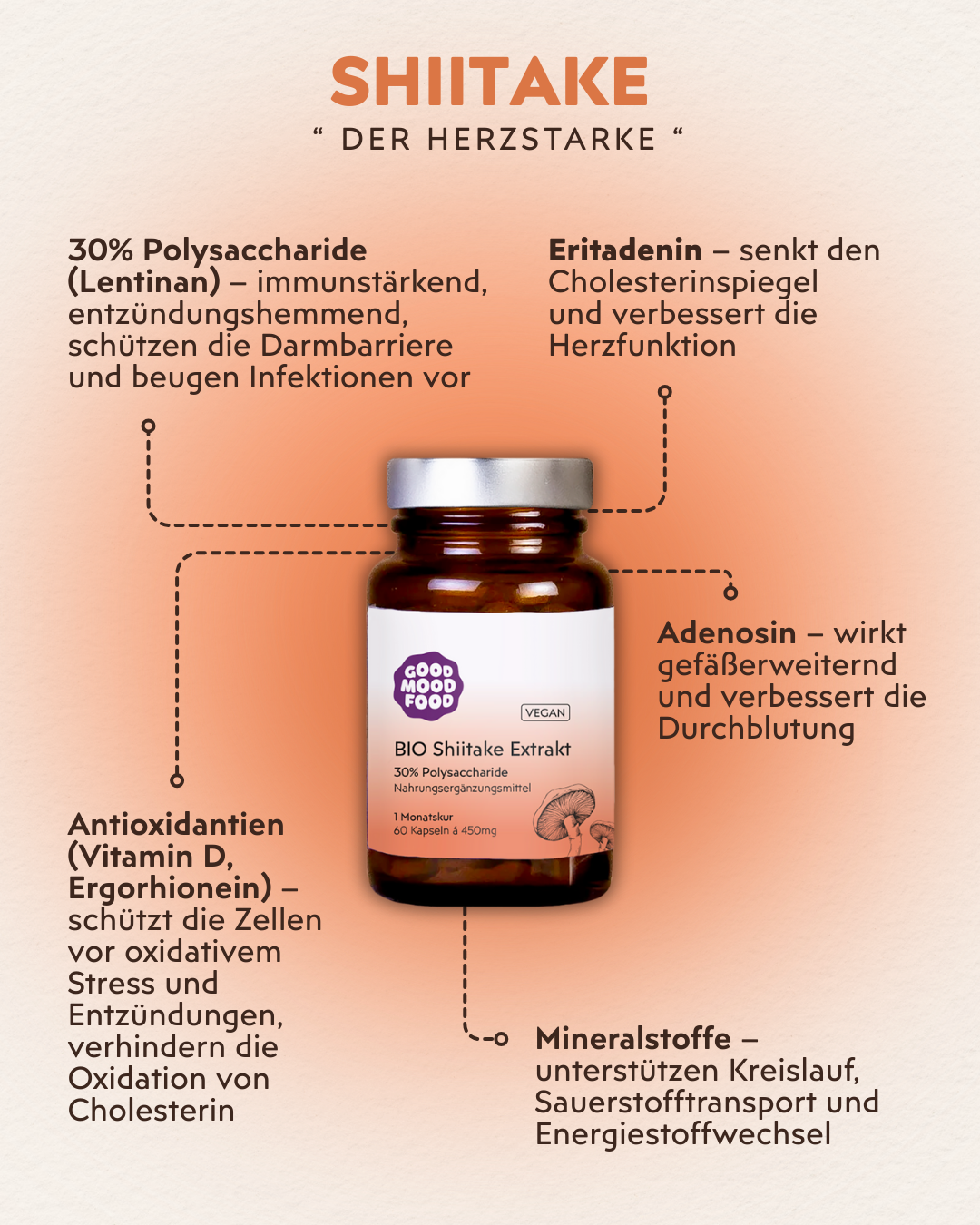 Shiitake Infografik