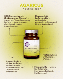 Agaricus Vitalpilz Infografik