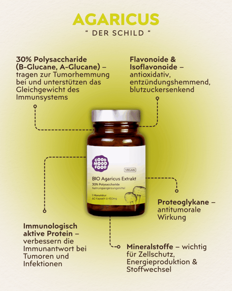 Agaricus Vitalpilz Infografik