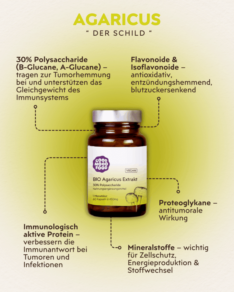 Agaricus Vitalpilz Infografik