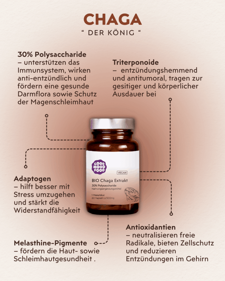 Chaga Vitalpilz Infografik
