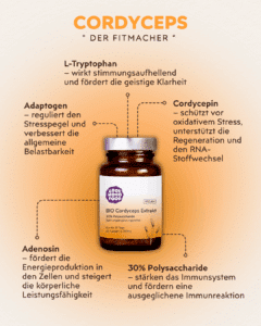 Cordyceps Vitalpilz Infografik