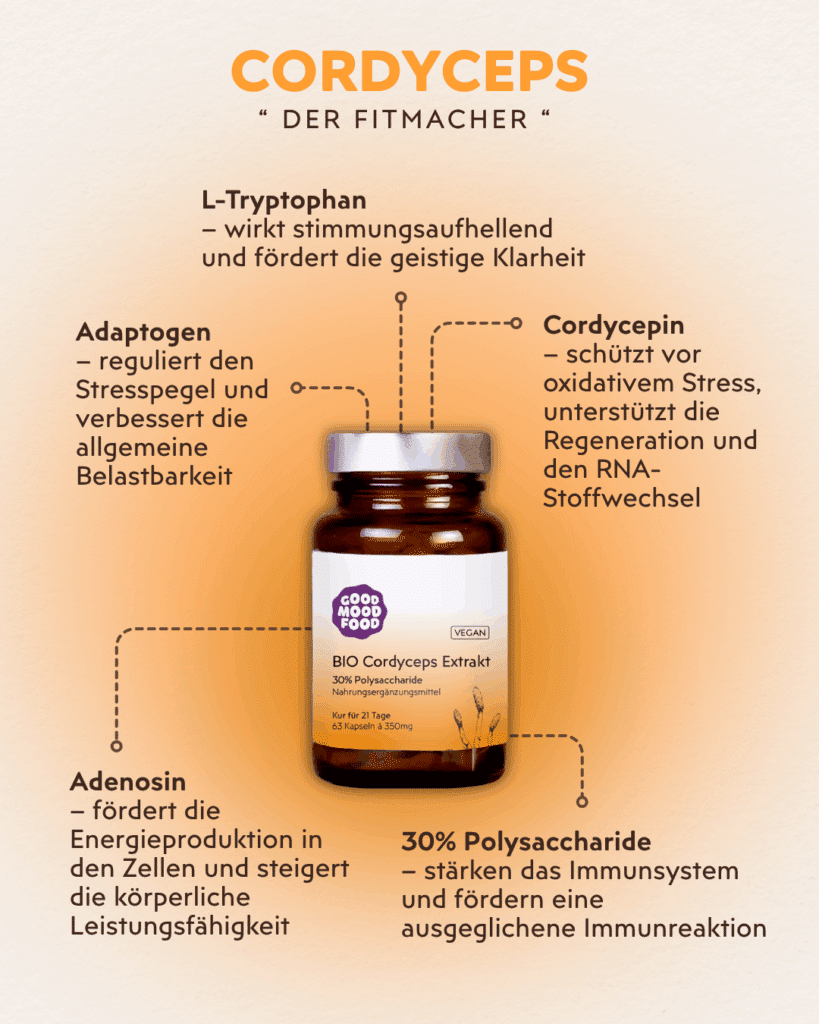 Cordyceps Vitalpilz Infografik
