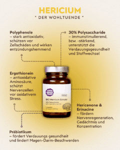 Hericium Vitalpilz Infografik