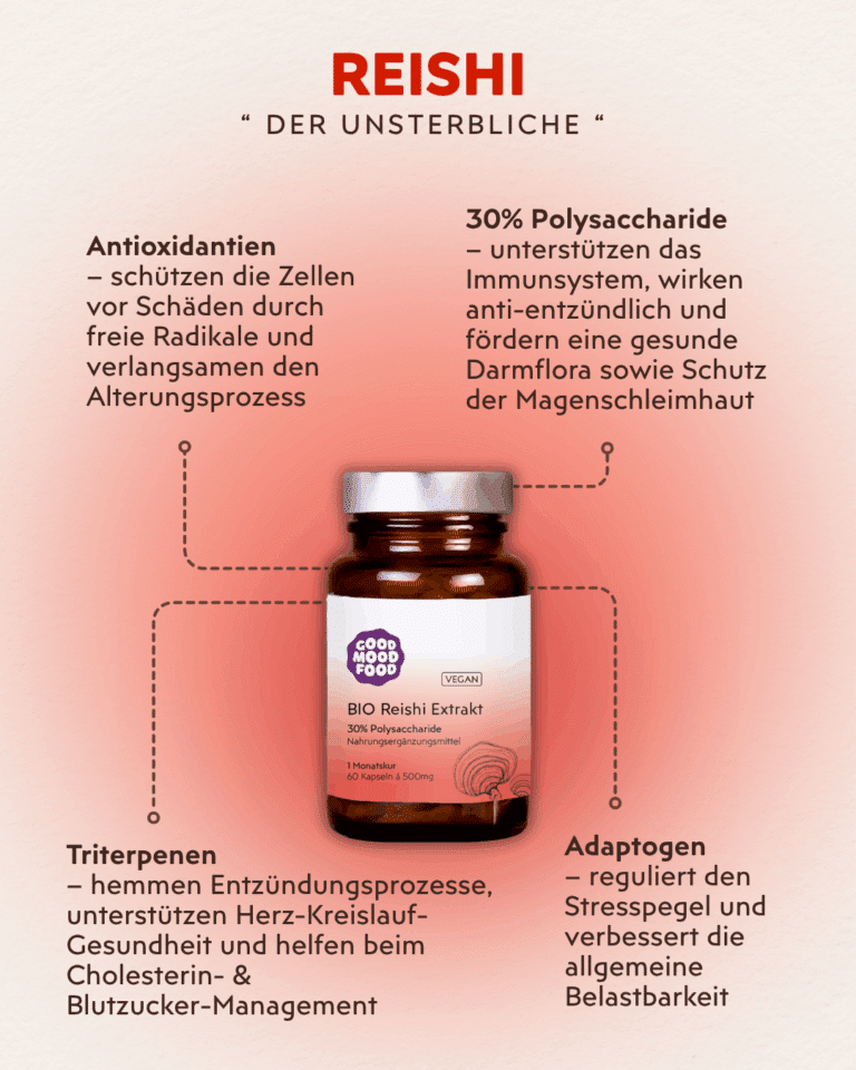 Reishi Vitalpilz Infografik