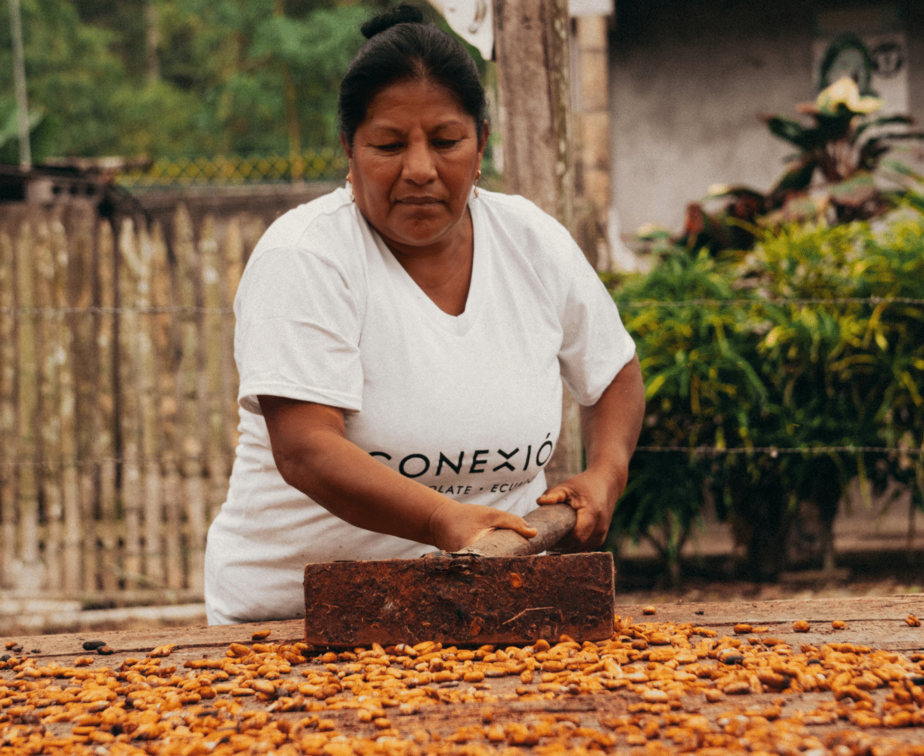 Produzentinnen Ecuador Conexión 2