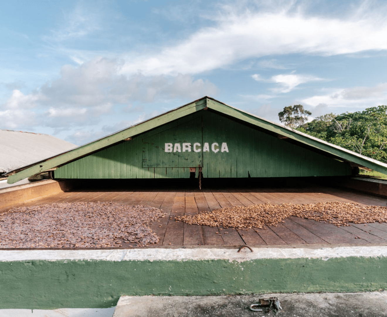 Kakao Bohnen Brasilien Sera Kakao