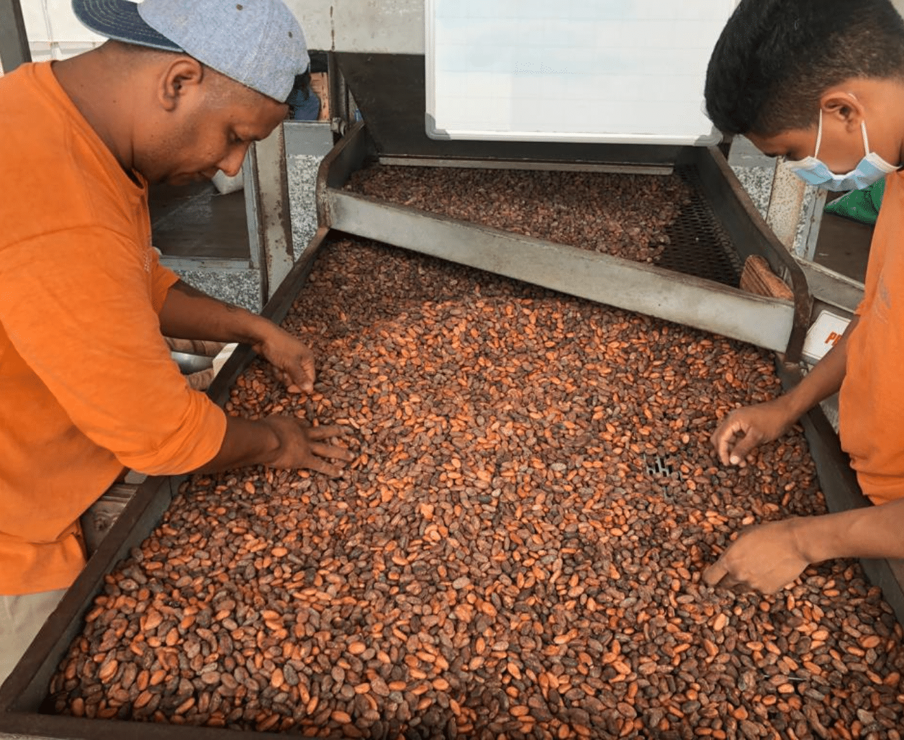 Kakao Produzentinnen Ecuador Latiali