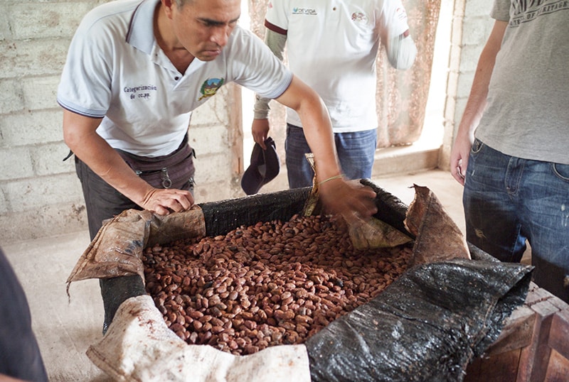 Kakao Bohnen Bauerinnen Peru